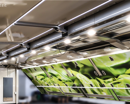 Industriële elektriciteit van een groenten- en fruitafdeling voor supermarkt